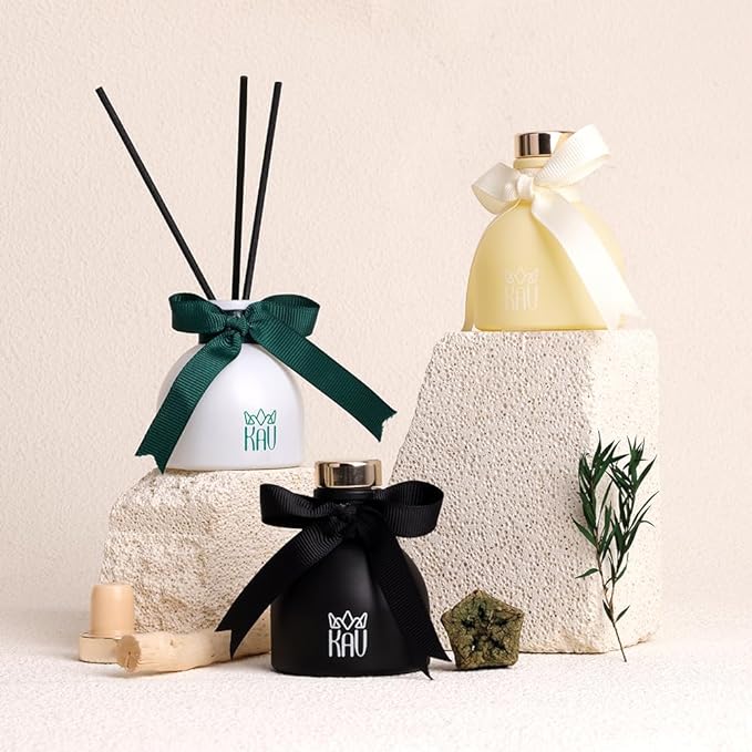 KAV Reed Diffuser Set, Aroma Scented Diffuser with Sticks, Aromatherapy Reed Oil Diffuser, Home Fragrance Gift for Bathroom Office Shelf Décor (Zen Passion)