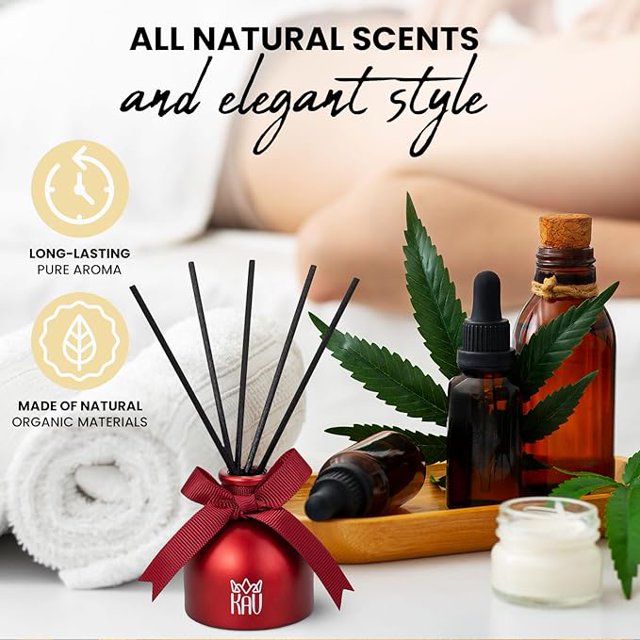 KAV Oil Diffuser, Aroma Scented Diffuser with Sticks, Aromatherapy Reed Oil Diffuser, Home Fragrance Gift for Bathroom Office Shelf Décor