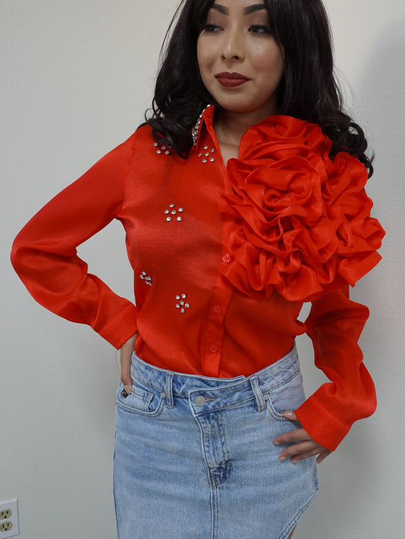FLORAL APPLIQUE EMBELLISHED BLOUSE